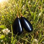🖤 Obsidian Earrings • Abundance - Protection & Truth